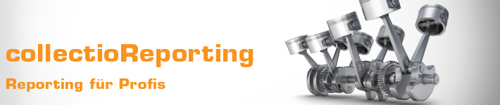 ITPM.collectioReporting – Reporting für Profis